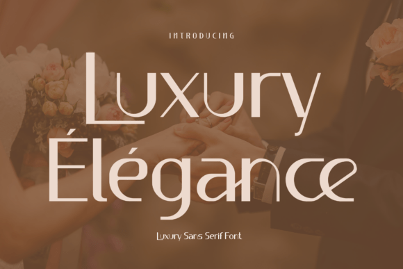 Luxury Élégance: A Premium Sans Serif Font for Editors